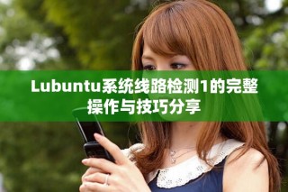 Lubuntu系统线路检测1的完整操作与技巧分享