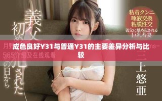 成色良好Y31与普通Y31的主要差异分析与比较