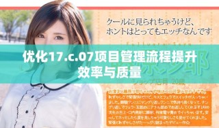 优化17.c.07项目管理流程提升效率与质量