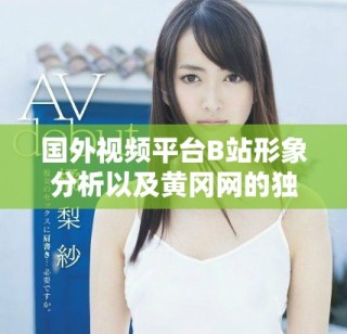 国外视频平台B站形象分析以及黄冈网的独特魅力探讨