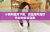 小黄鸭应用下载，安全防风险软件轻松安装指南