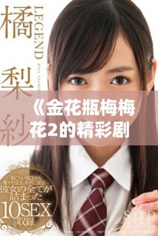 《金花瓶梅梅花2的精彩剧情与角色解析一探究竟》