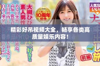 精彩好吊视频大全，畅享各类高质量娱乐内容！