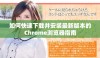 如何快速下载并安装最新版本的Chrome浏览器指南