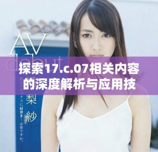 探索17.c.07相关内容的深度解析与应用技巧