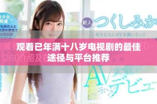 观看已年满十八岁电视剧的最佳途径与平台推荐