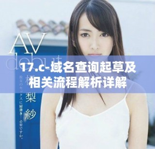 17.c-域名查询起草及相关流程解析详解