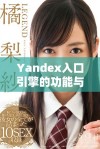 Yandex入口引擎的功能与使用技巧详解分享
