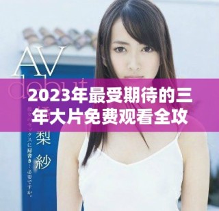 2023年最受期待的三年大片免费观看全攻略与推荐指南
