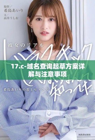 17.c-域名查询起草方案详解与注意事项