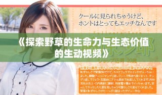 《探索野草的生命力与生态价值的生动视频》