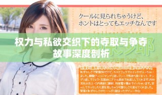 权力与私欲交织下的夺取与争夺故事深度剖析