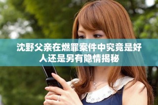 沈野父亲在燃罪案件中究竟是好人还是另有隐情揭秘