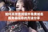如何高效查找国外免费域名服务器信息的方法分享
