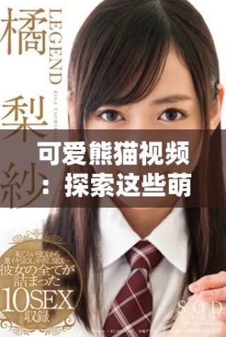 可爱熊猫视频：探索这些萌宠日常生活的趣味瞬间与感人故事