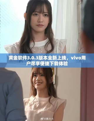 黄金软件3.0.3版本全新上线，vivo用户尽享便捷下载体验