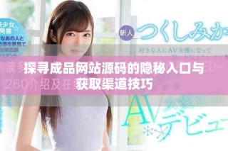 探寻成品网站源码的隐秘入口与获取渠道技巧
