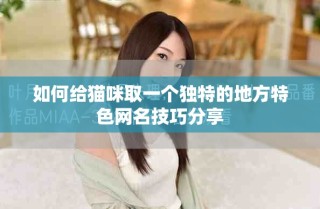 如何给猫咪取一个独特的地方特色网名技巧分享