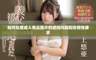 如何处理成人用品图片的遮挡问题和合规性要求