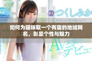 如何为猫咪取一个有趣的地域网名，彰显个性与魅力