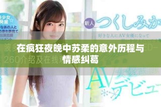 在疯狂夜晚中苏柔的意外历程与情感纠葛