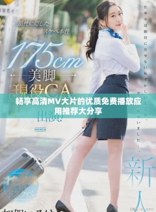 畅享高清MV大片的优质免费播放应用推荐大分享