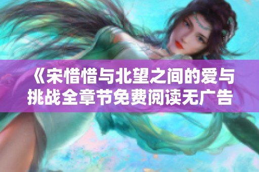 《宋惜惜与北望之间的爱与挑战全章节免费阅读无广告》