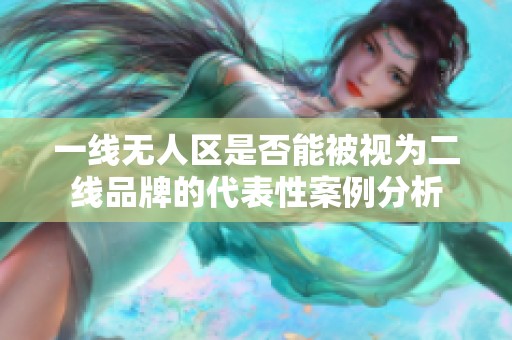 一线无人区是否能被视为二线品牌的代表性案例分析