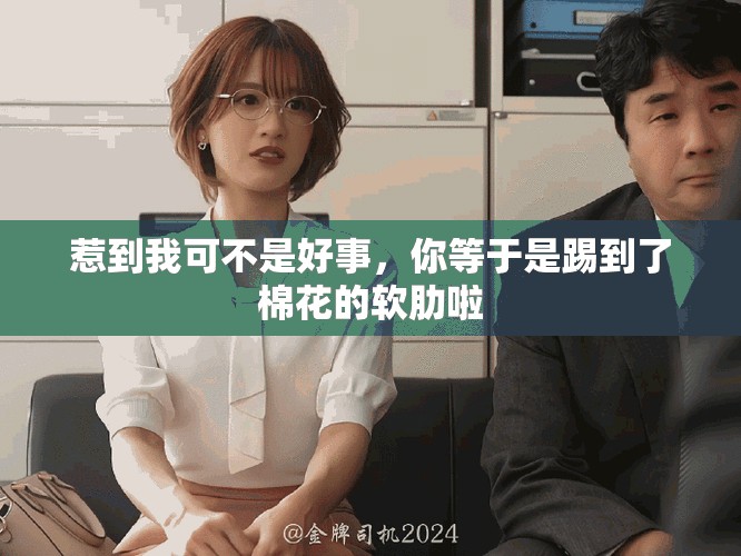 惹到我可不是好事，你等于是踢到了棉花的软肋啦