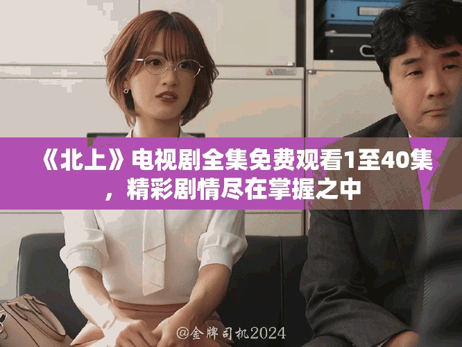 《北上》电视剧全集免费观看1至40集，精彩剧情尽在掌握之中