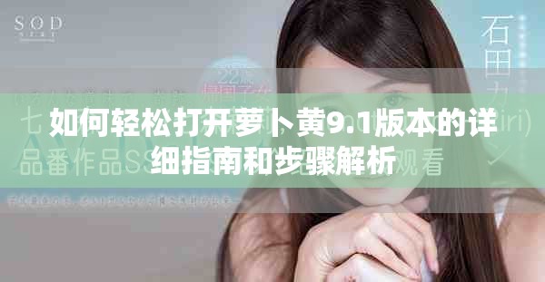 如何轻松打开萝卜黄9.1版本的详细指南和步骤解析