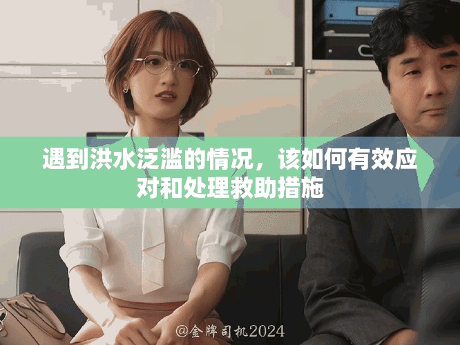 遇到洪水泛滥的情况，该如何有效应对和处理救助措施