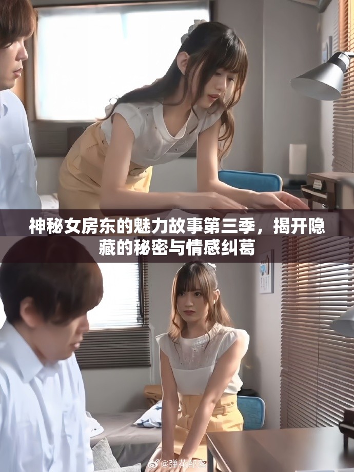 神秘女房东的魅力故事第三季，揭开隐藏的秘密与情感纠葛