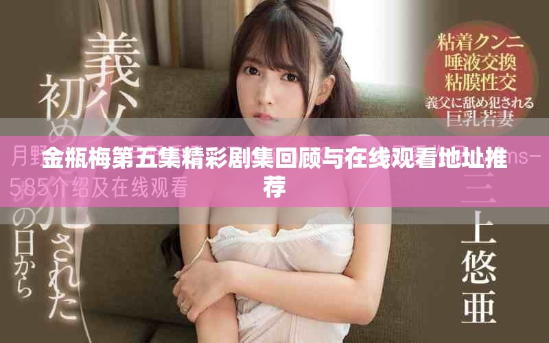 金瓶梅第五集精彩剧集回顾与在线观看地址推荐
