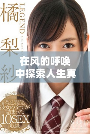 在风的呼唤中探索人生真谛的全剧免费观看体验