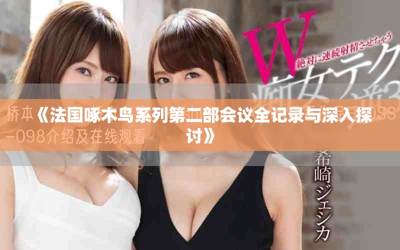 《法国啄木鸟系列第二部会议全记录与深入探讨》