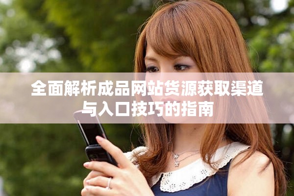 全面解析成品网站货源获取渠道与入口技巧的指南