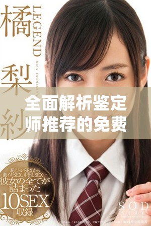 全面解析鉴定师推荐的免费视频看片软件使用体验与优势