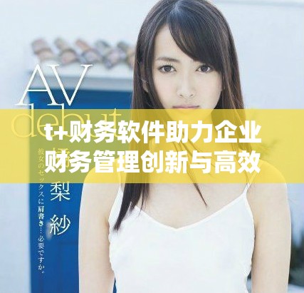 t+财务软件助力企业财务管理创新与高效发展