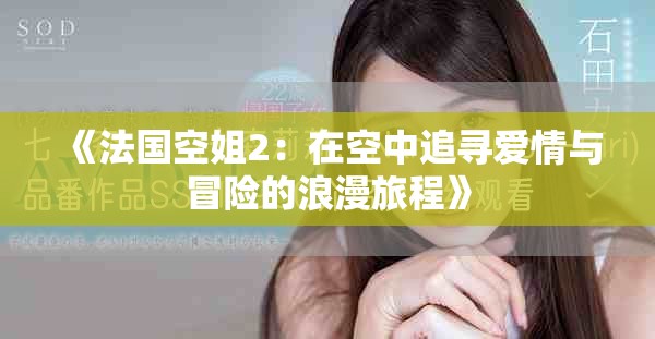 《法国空姐2：在空中追寻爱情与冒险的浪漫旅程》