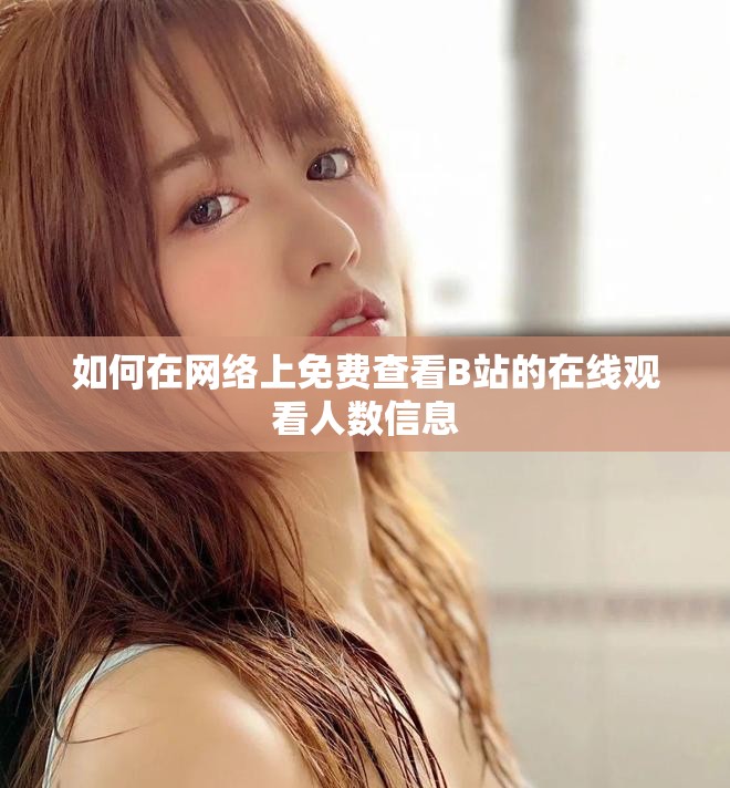 如何在网络上免费查看B站的在线观看人数信息