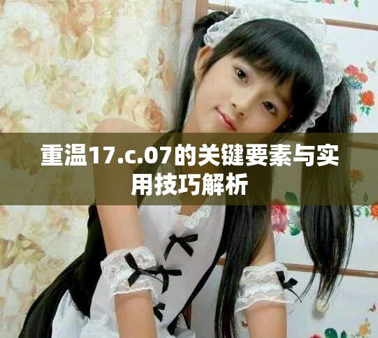重温17.c.07的关键要素与实用技巧解析