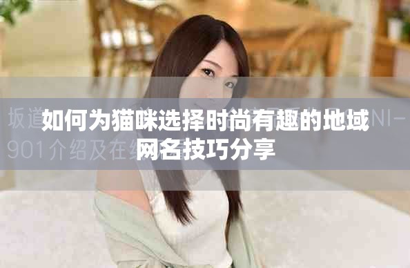 如何为猫咪选择时尚有趣的地域网名技巧分享