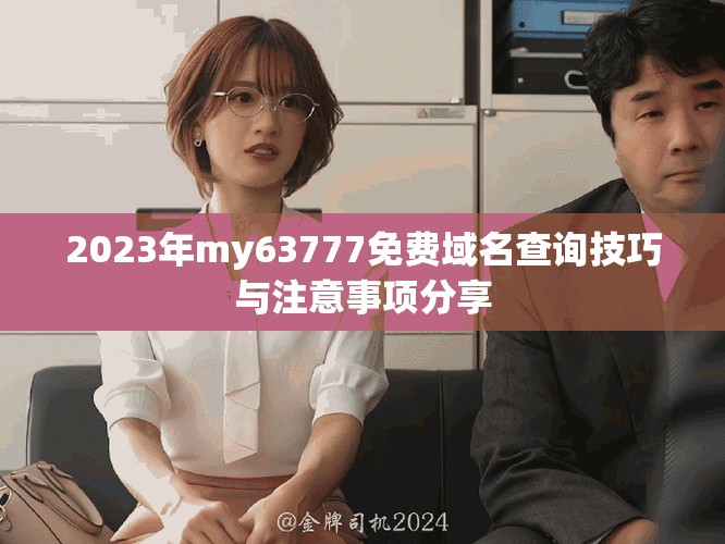 2023年my63777免费域名查询技巧与注意事项分享