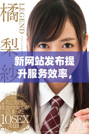 新网站发布提升服务效率，助力在线政务办理更便捷