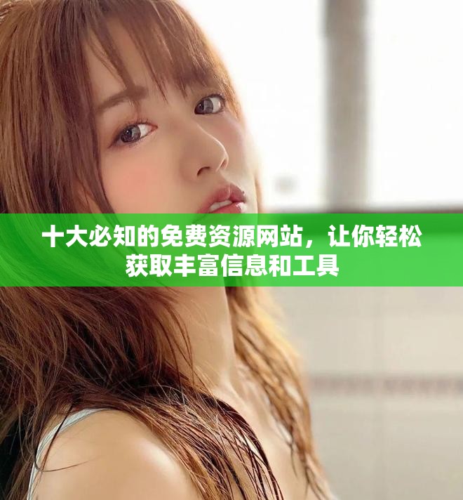 十大必知的免费资源网站，让你轻松获取丰富信息和工具