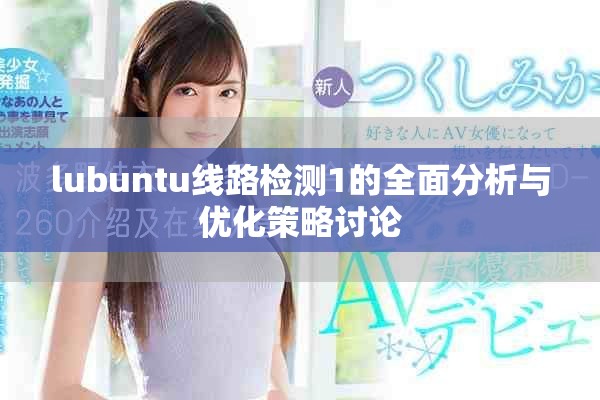 lubuntu线路检测1的全面分析与优化策略讨论