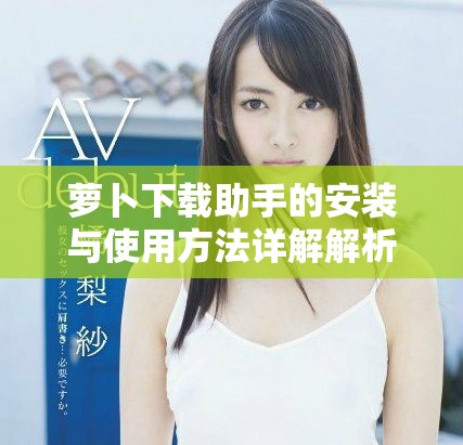 萝卜下载助手的安装与使用方法详解解析