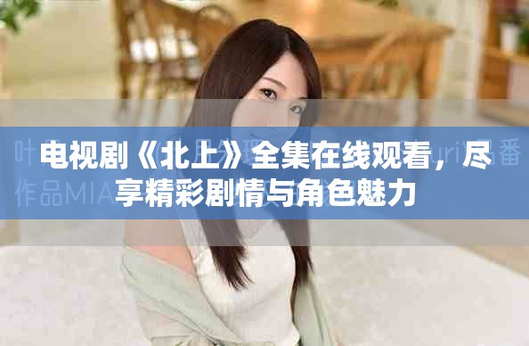 电视剧《北上》全集在线观看，尽享精彩剧情与角色魅力