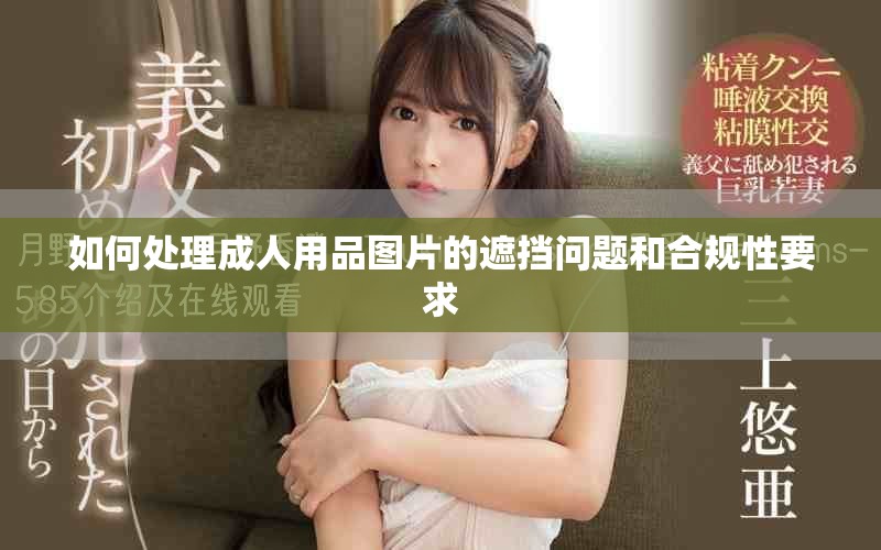 如何处理成人用品图片的遮挡问题和合规性要求